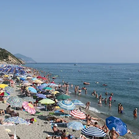 Delle Ciliegie