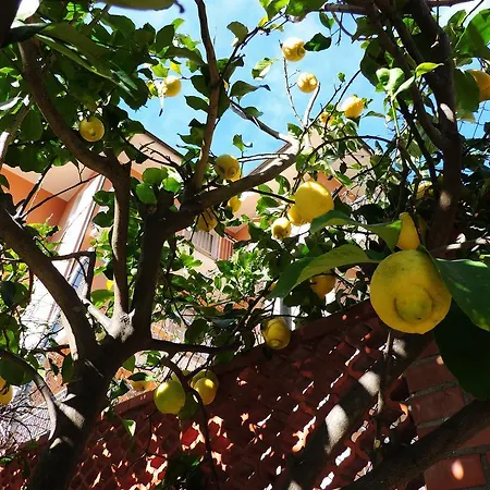 Appartement Delle Ciliegie